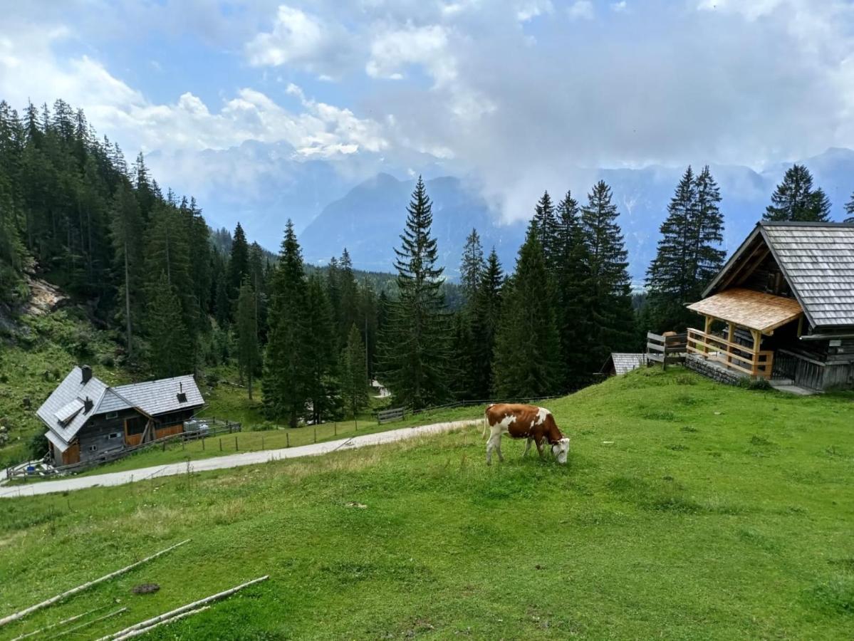 Apartmenthaus Hinterer Bad Goisern Bagian luar foto