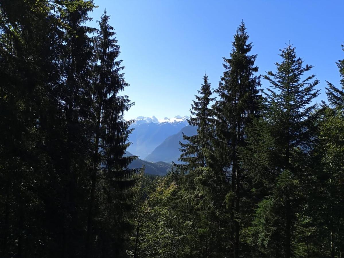 Apartmenthaus Hinterer Bad Goisern Bagian luar foto