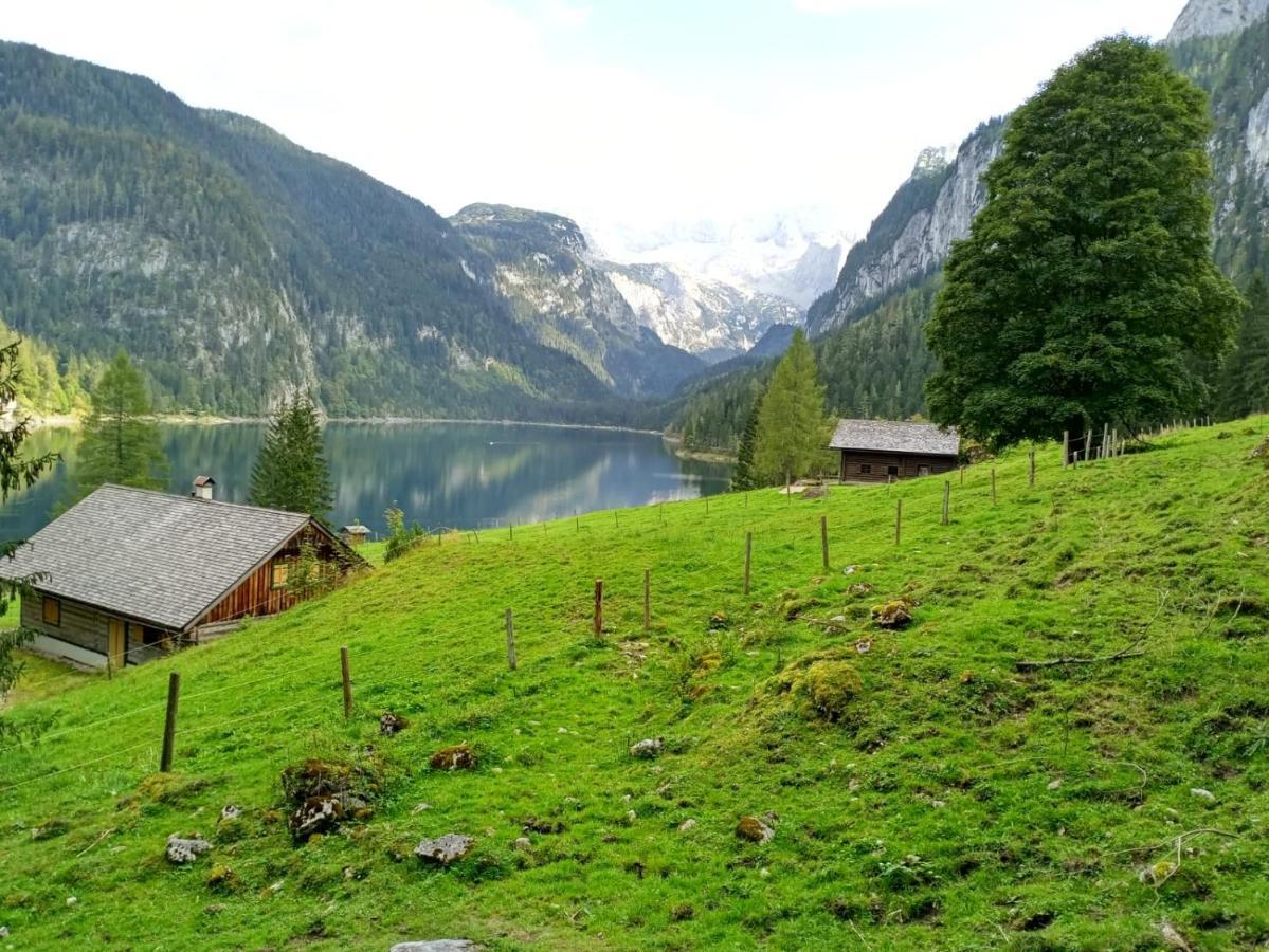 Apartmenthaus Hinterer Bad Goisern Bagian luar foto
