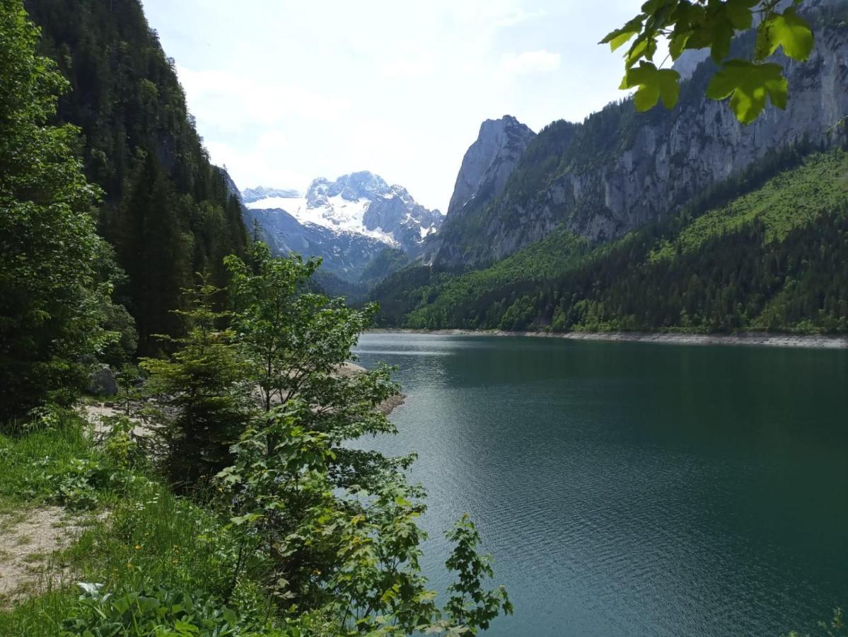 Apartmenthaus Hinterer Bad Goisern Bagian luar foto
